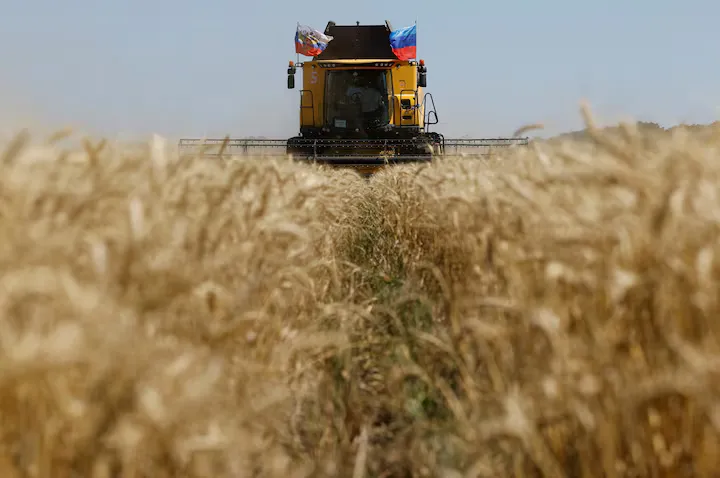 Росія експортує зерно з окупованих територій: масштаби, прибутки та реакція України